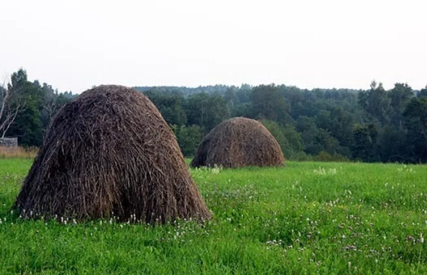 Project No. 12510025 image