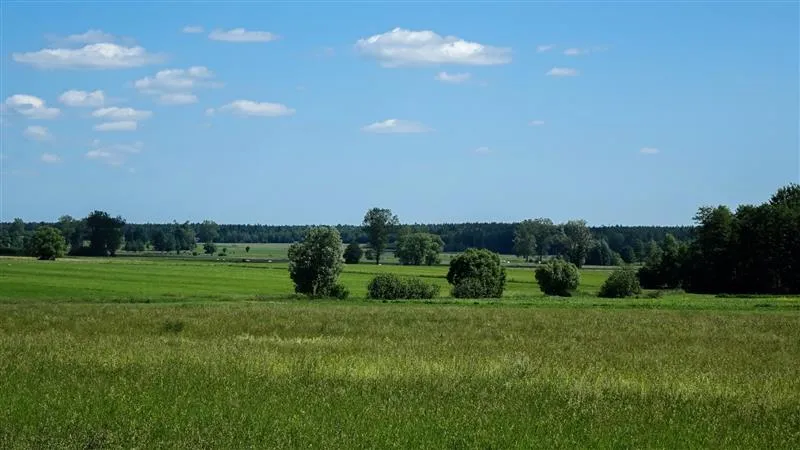 Project No. 12534412 image