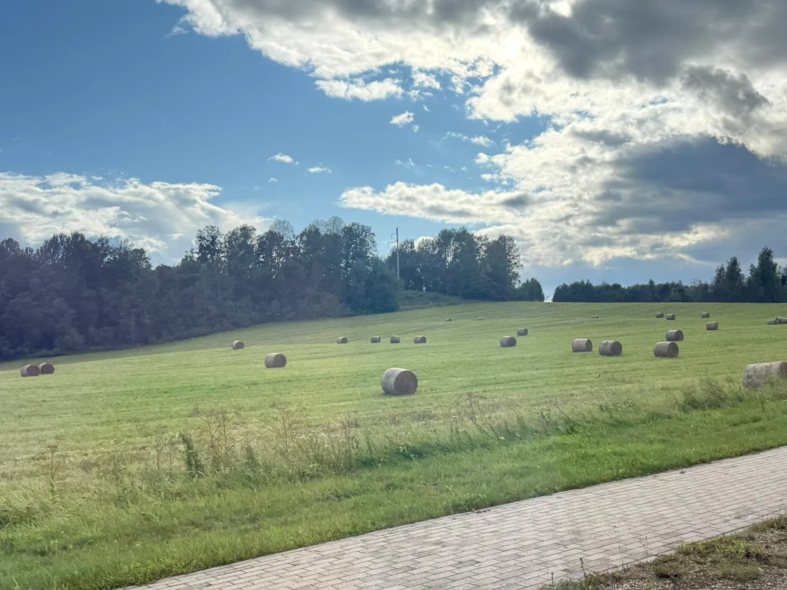 Project No. 12598697 image